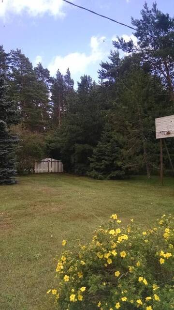Фото номера Дом с 4 спальнями Загородные дома Treimani Summer House г. Treimani 5