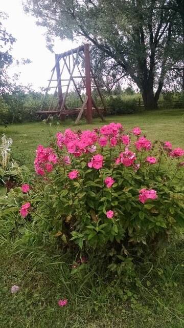 Фото номера Дом с 4 спальнями Загородные дома Treimani Summer House г. Treimani 40
