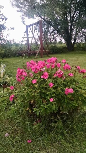 Фото номера Дом с 4 спальнями Загородные дома Treimani Summer House г. Treimani 14